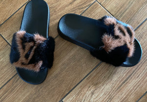 LV slides