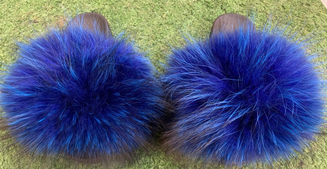 Blue fur slides